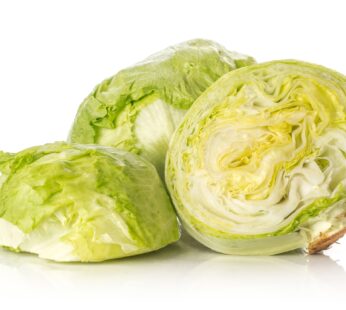 Iceberg Lettuce