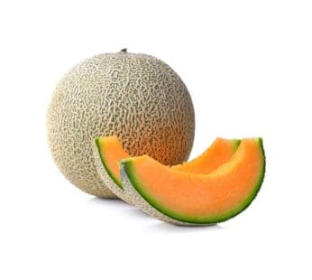 Cantaloupe