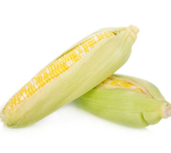 Bi Color Corn