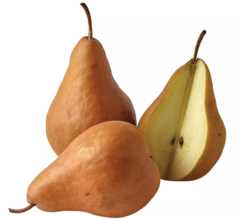 Bosc Pear