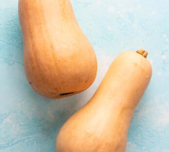 Butternut Squash