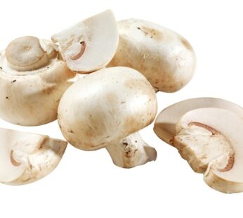 Button Mushroom