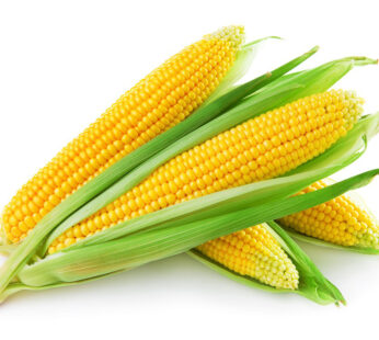 Corn