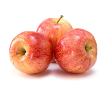 Gala Apple