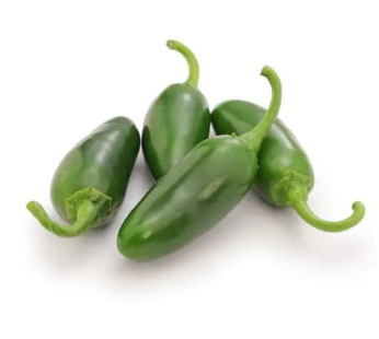 Jalapeno Pepper