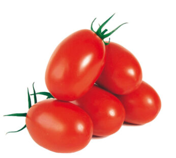 Plum Tomato
