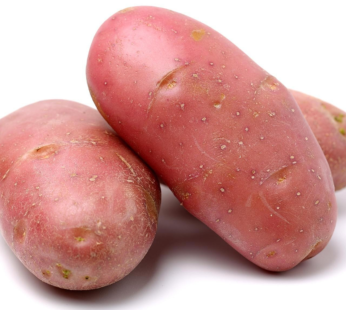 Red A Potato Bag