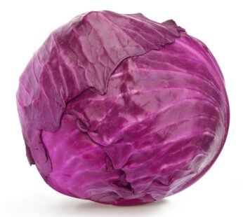 Red Cabbage
