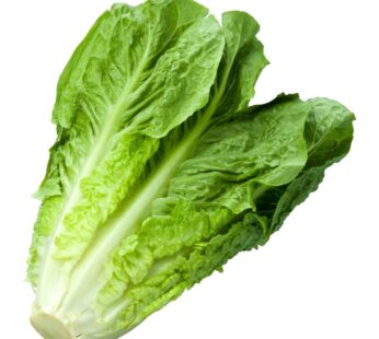 Romain Lettuce