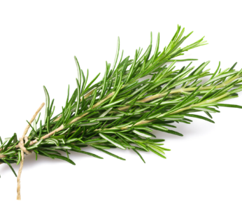 Rosmary