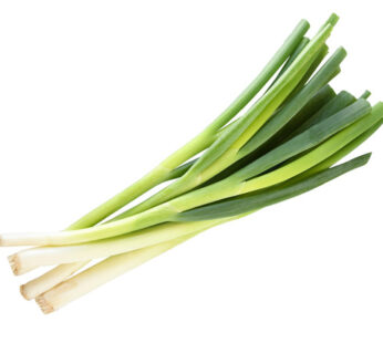 Scallion