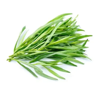 Tarragon