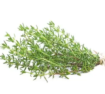 Thyme