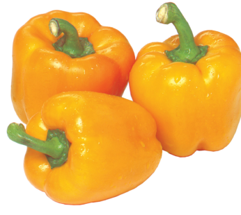 Yellow Pepper