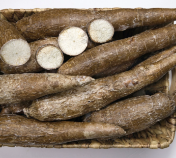 Yuca