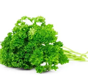 Curly Parsley