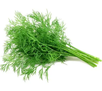 Dill