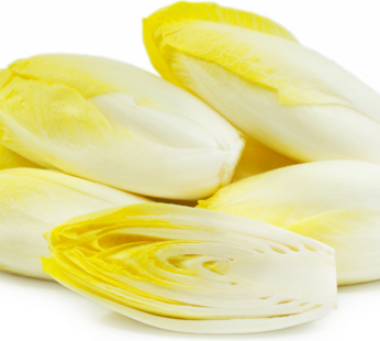 Endive