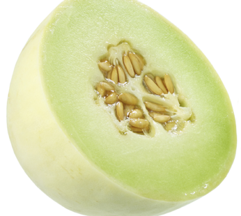 Honeydew