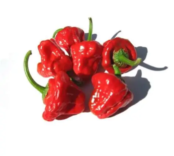 Jamaican Hot Peppers