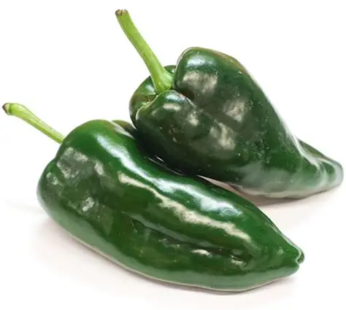 Poblano Peppers