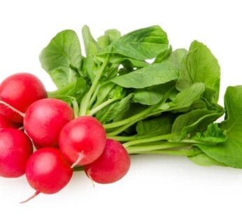 Radish