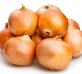 Spanish Onion