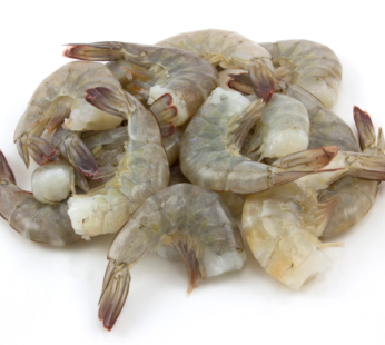 Shrimp 13/15 Ecuador White